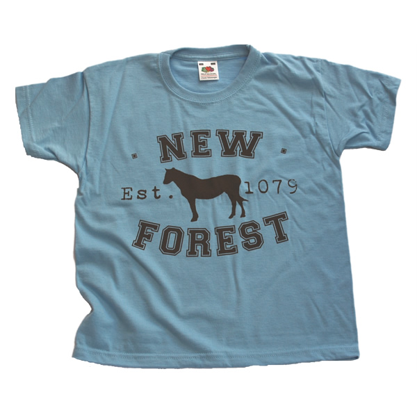 Children's T-shirt - Classic New Forest Pony silhouette  (Chestnut brown print on Sky Blue T-shirt)