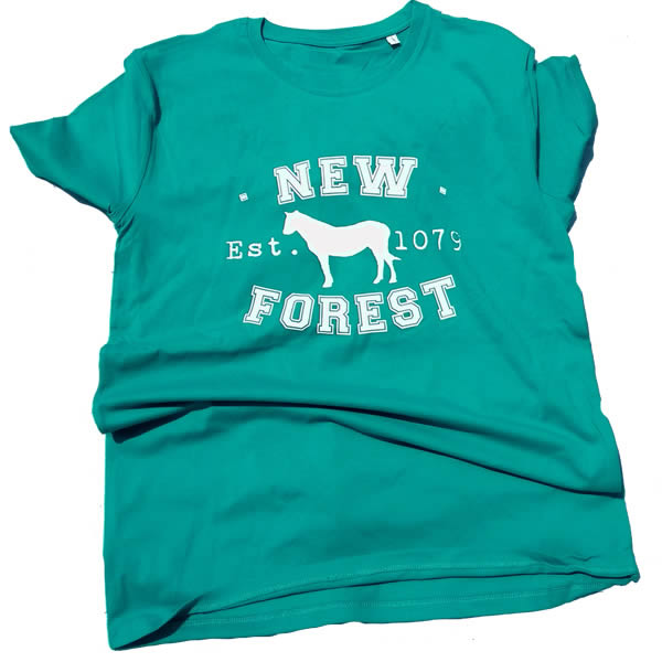 Men's T-shirt - Classic New Forest Pony silhouette (White print on Teal T-shirt)