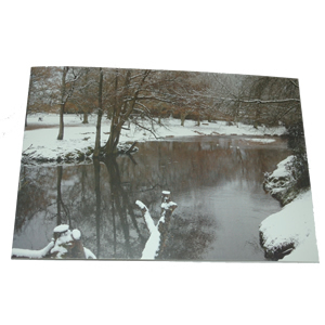 Christmas Card (Balmer Lawn, Brockenhurst, winter 2010)