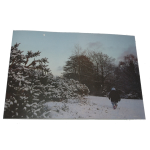 Christmas Card (Butts Lawn, Brockenhurst, winter 2010)